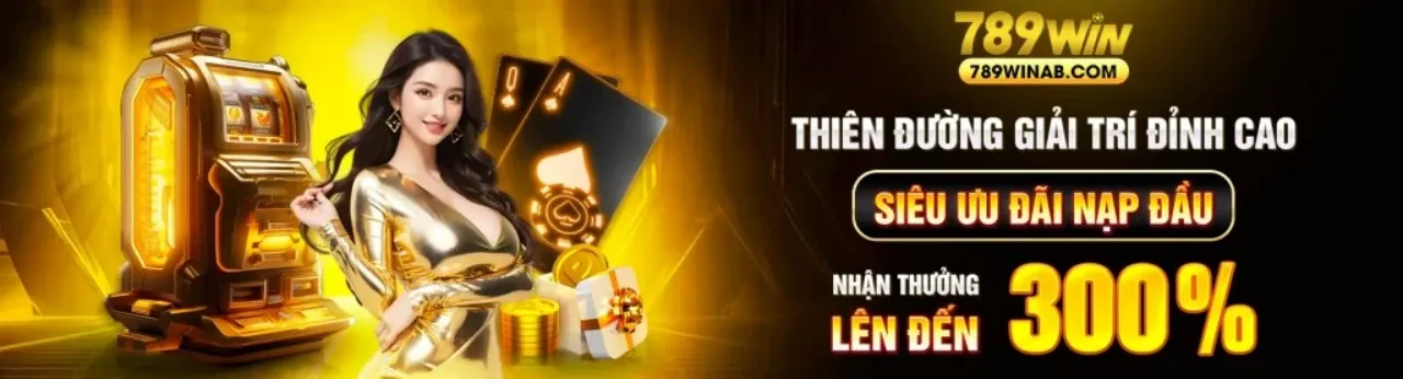 Hình ảnh minh họa Tuân thủ GDPR và bảo mật dữ liệu tại Winmax1
